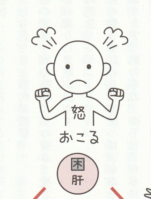 イライラタイプ（肝虚症）